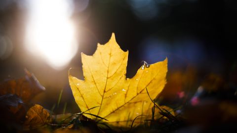 Потужний величезний антициклон: Діденко прогнозує різку зміну погоди