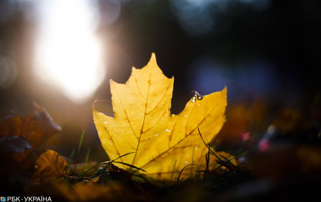 Аномальный ноябрь: синоптик прогнозирует потепление до +22