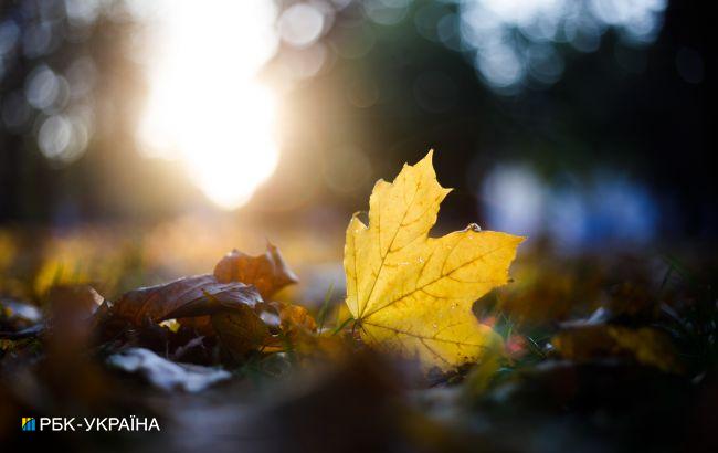 Солнечно, но ночью морозы: прогноз погоды на сегодня