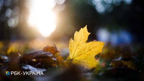 В Україну йде значне потепління: синоптики назвали дату