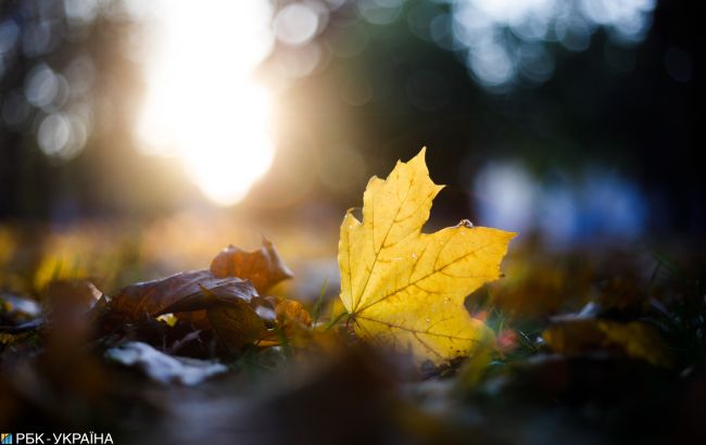 Сьогодні у західних областях дощ