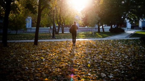 Погода сильно здивує: синоптики розповіли, де очікується потепління