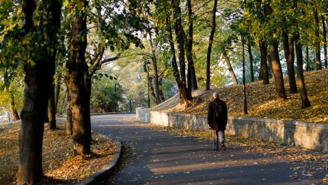 Осень будет прохладной и заморозки наступят быстро: украинцев огорчили прогнозом погоды