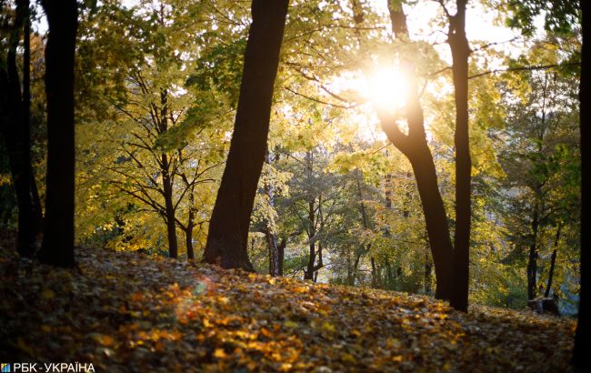 На вихідних в Україні очікується потепління