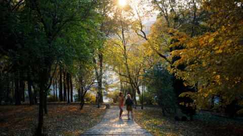 Наступного тижня в Україні можливі дощі