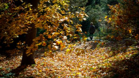 Завтра атмосферный фронт принесет в Украину осадки