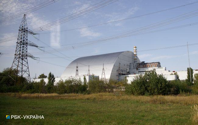 Грибы в Германии по настоящее время заражены радиацией из Чернобыля