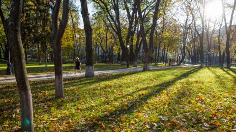 Осінь 2020 року в Києві була найтеплішою за 140 років спостережень