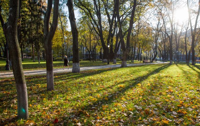 Осень 2020 года в Киеве была самой теплой за 140 лет наблюдений
