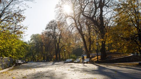 В Україну йде потепління. Синоптики назвали дату