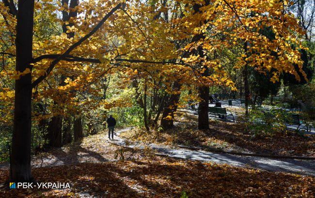 В Украине снова потеплеет. На востоке предупреждают о тумане: погода на завтра