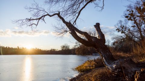 Облачно и потепление до +6: прогноз на сегодня