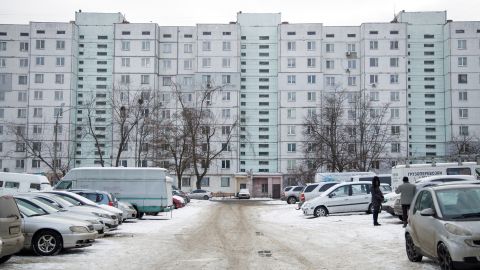 В Киеве заметили хищника, заглядывающего в окна в поисках пищи (фото)