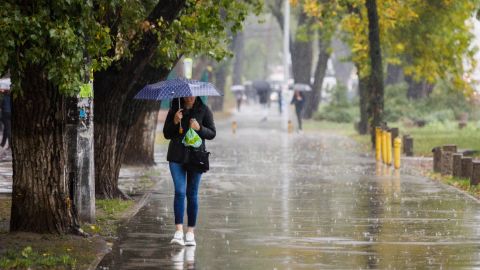 Дожди еще не закончатся: синоптики рассказали, в каких областях будет непогода