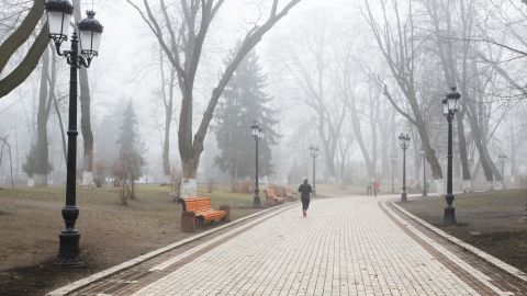 Україну накрив туман: в яких областях обмежена видимість