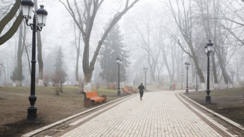 В начале февраля в Киеве установилась апрельская погода