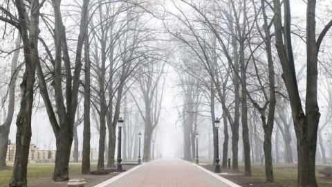 Дождь с мокрым снегом и сильный ветер: прогноз погоды на сегодня