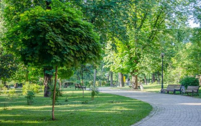 Вместо МАФов: в Киеве возле КПИ собираются создать сквер