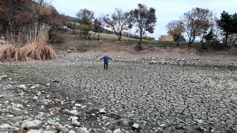 Украинская прокуратура заявила о бездействии Минприроды из-за ситуации в Крыму