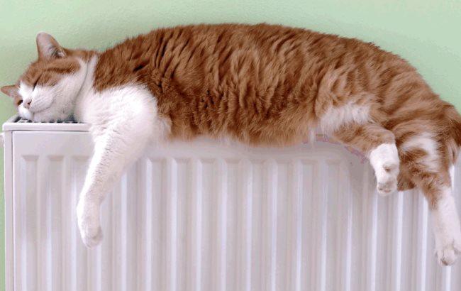 Отопительный сезон в Украине начался с шуток в соцсетях