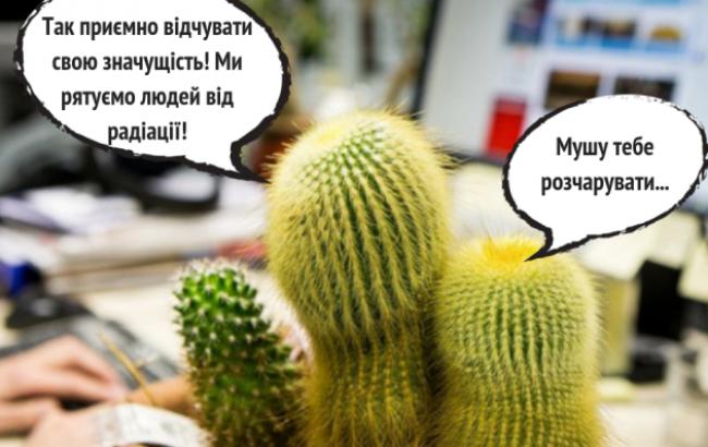 "Будьте свідомі": Супрун розвіяла міф про кактуси і закликала українців не вірити фейкам