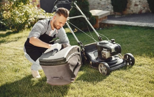 Ніколи не викидайте скошену траву: ось, яку користь вона приносить саду і городу