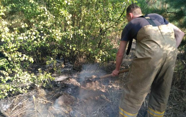 Спасатели локализовали пожар в Харьковской области