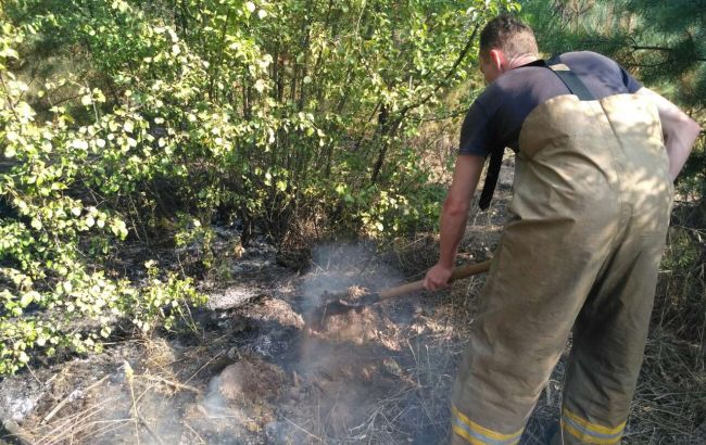 Спасатели локализовали пожар в Харьковской области