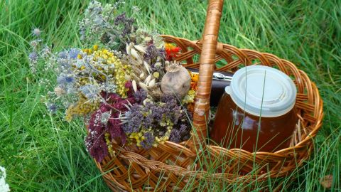 Синоптик рассказала, какой будет погода на праздник Маковея