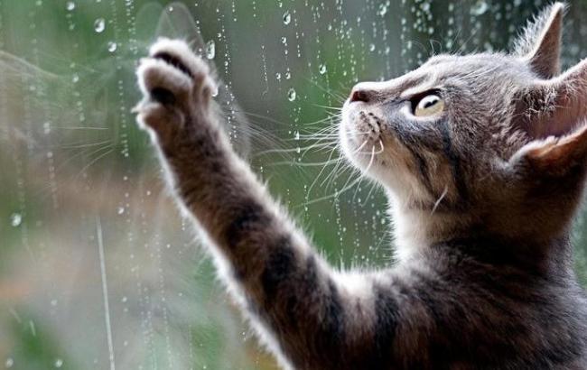 Погода на завтра: в Україні дощі, температура до +20