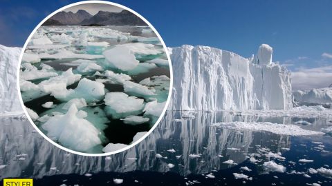 Ученые спрогнозировали, когда Арктика полностью растает: катастрофа уже близко