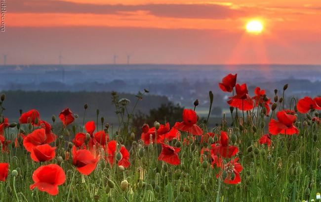Погода на завтра: на западе Украины дожди, температура до +38