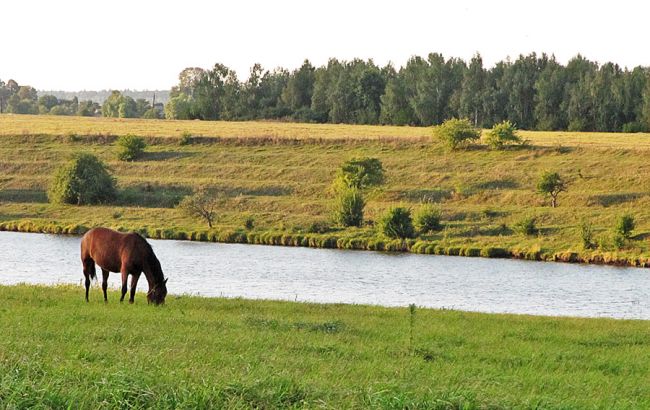 Німеччина надасть Україні 14 мільйонів євро на заповідники