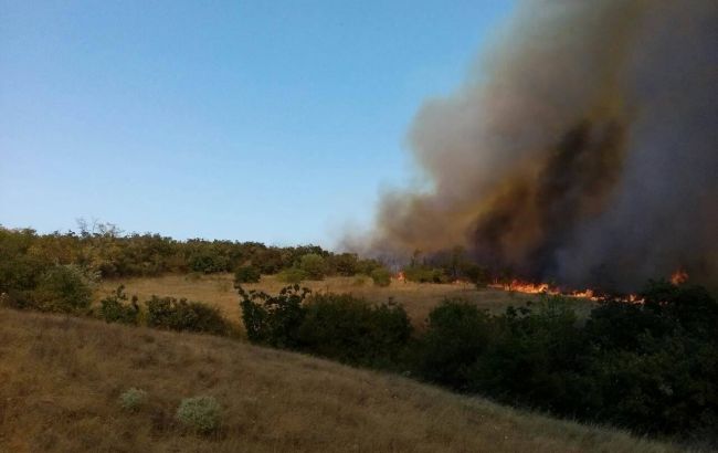 У Миколаївській області виникла лісова пожежа