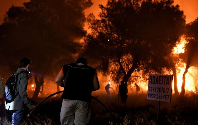 В Греции спасатели вторые сутки пытаются ликвидировать крупный лесной пожар под Афинами