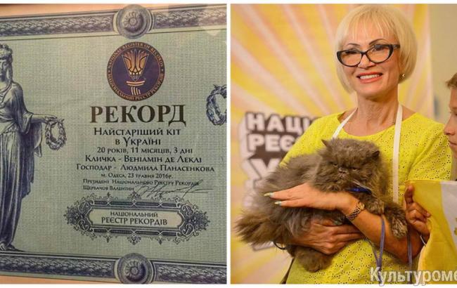 Кот-долгожитель из Одессы попал в Книгу рекордов