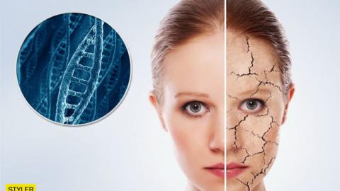 Топ-5 ознак старіння з точки зору науки