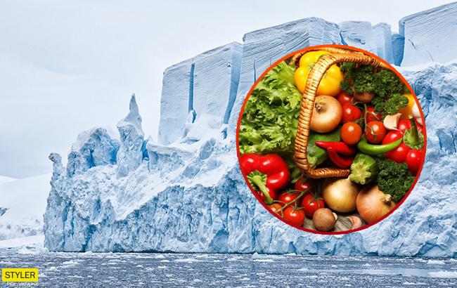 В Антарктиде ученым удалось собрать рекордный урожай овощей и зелени