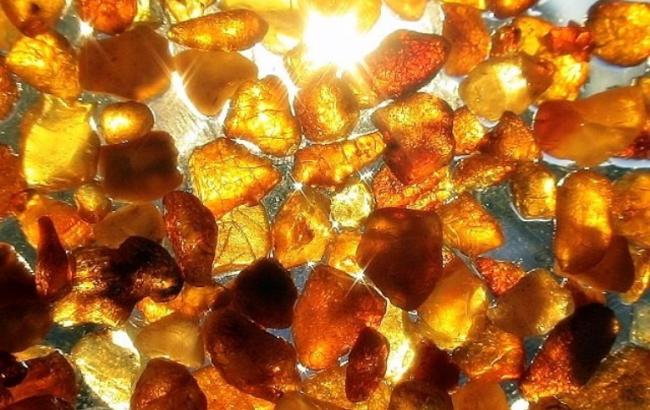 СБУ изъяла незаконно добытый янтарь на сумму более 1 млн грн