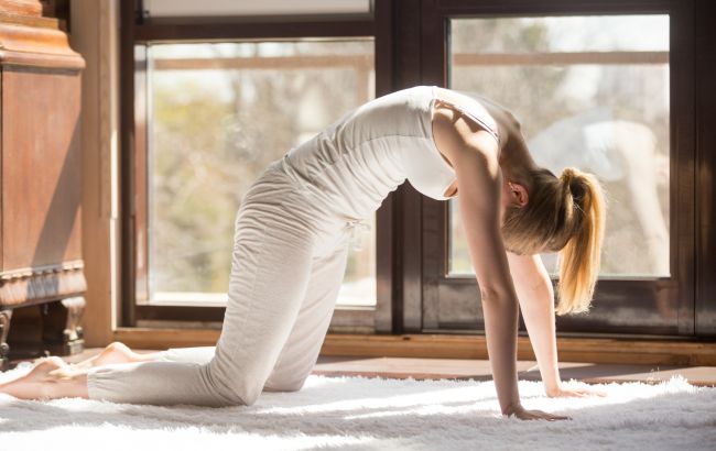 Сидите за комп'ютером цілий день? 6 вправ, які допоможуть уникнути болю в спині