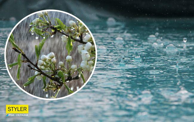 В Украину идут сильные дожди и ливни: названа дата ухудшения погоды