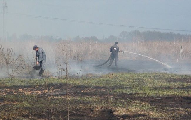 В трех районах Киевской области горит торф, - Минэкологии