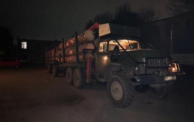 Посадовця "Черкаського військового лісництва" викрили на незаконній вирубці та реалізації лісу
