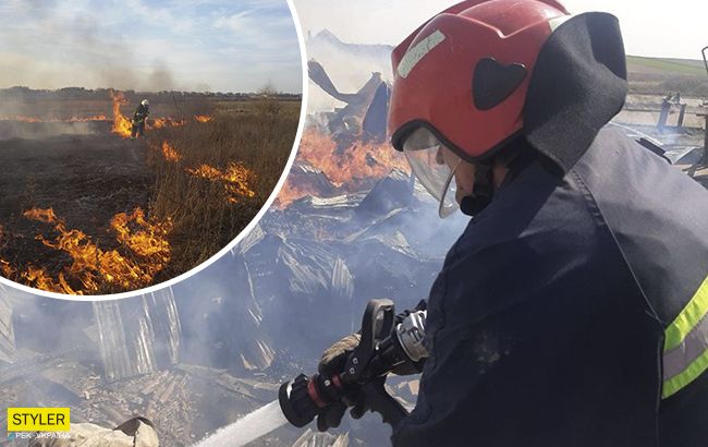 Украина в огне: пламя уничтожило леса, свалки и несколько сел