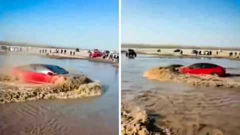 Tesla Model 3 с лодочным мотором отправилась форсировать озеро