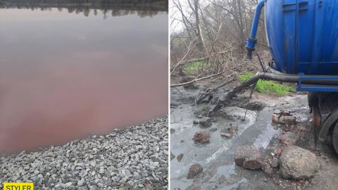 Під Дніпром водойма стала яскраво-червоною від крові загиблих тварин: хто творить свавілля
