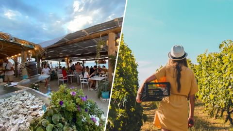 Гастрономическое приключение. Где дегустировать сыры, рыбу и вино в Бессарабии: лучшие локации