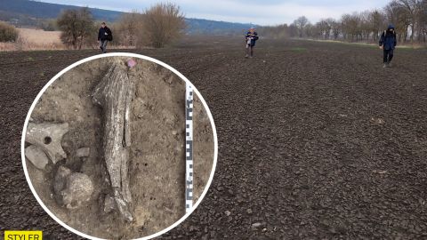 Под Винницей обнаружили курганы и поселения энеолита, эпохи бронзы и железного века (фото)