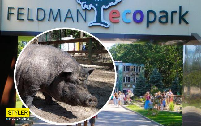 Оккупанты украли еду для животных из зоопарка под Харьковом