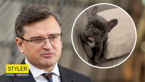 Дмитро Кулеба забрав собі "осиротіле" цуценя з Маріуполя: відео з маленьким Маріком